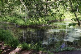 Saula Siniallikas-Arvi Rungi