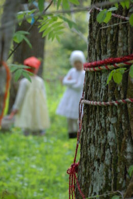 Suvisted Tammealusel DSC_0311